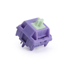 Sillyworks Hyacinth Linear Switch