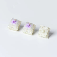 Switches x 100
