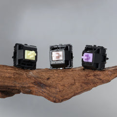 Switches x 70