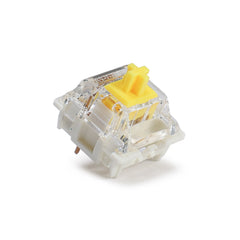 Switches x 100